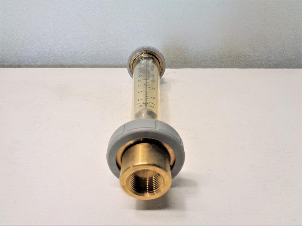 Blue-White 1" NPT F-451 Flowmeter, F-451002LHBPN